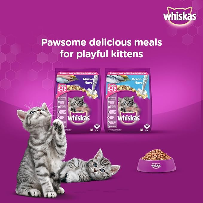 Whiskas Kitten Dry Cat Food, Ocean Fish with Milk, 3kg
